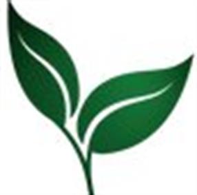 Elewacja Old Castle Grey